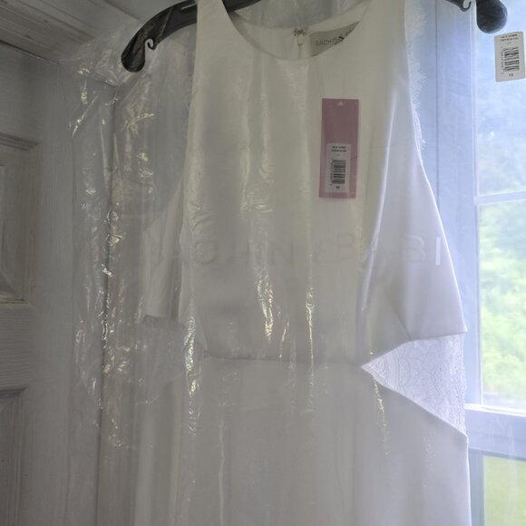 Sachin & Babi Isla Lace Panel Gown - Picture 8 of 9